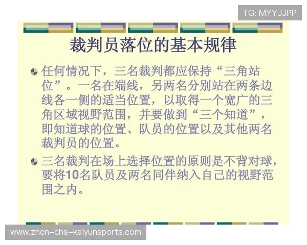 国际裁判团队入境本地执法，规则统一化推进，国际裁判证有用吗