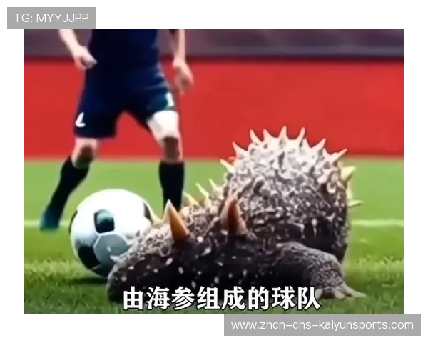 足球纪录片成为主流平台流量担当，播放足球纪录片